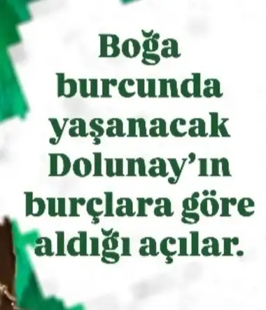 boğa12 (1).webp