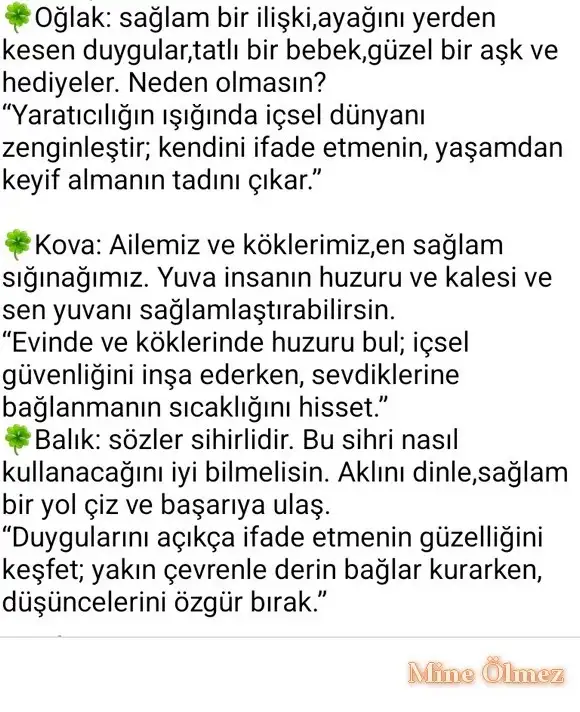 boğa12 (3).webp