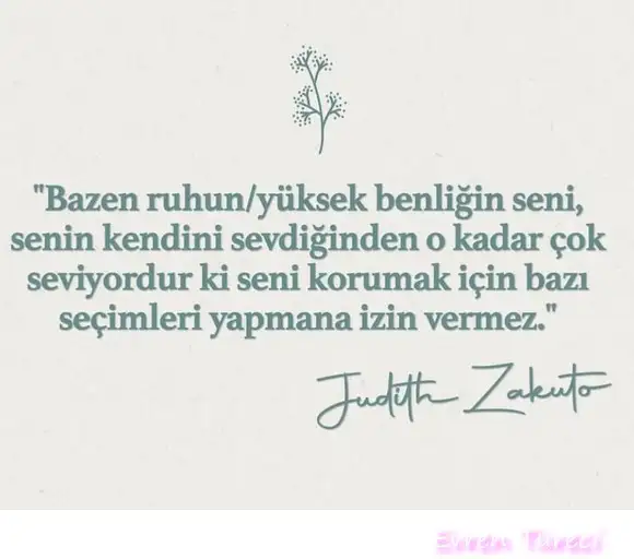 boğa12.webp