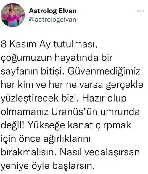 boğa13.webp