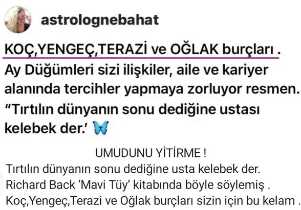 boğa13.webp