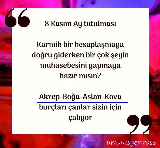 boğa14 (1).jpg