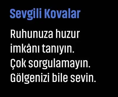 boğa14 (12).webp