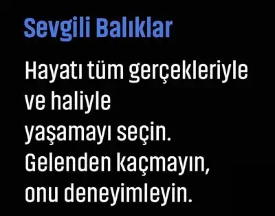 boğa14 (13).webp