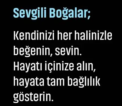 boğa14 (3).webp