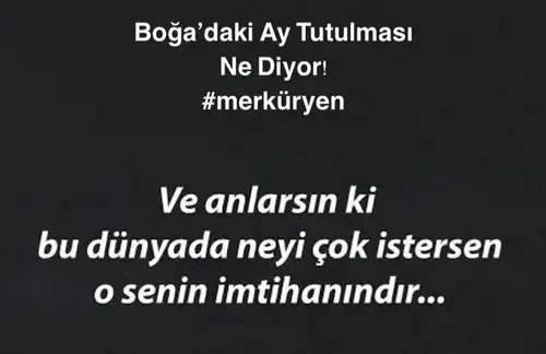 boğa14.webp