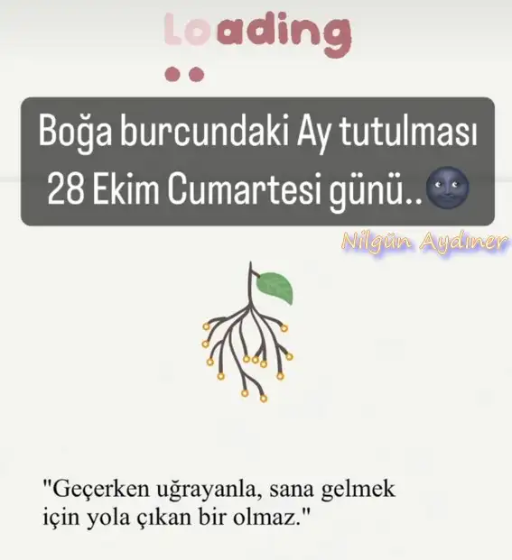 boğa14.webp