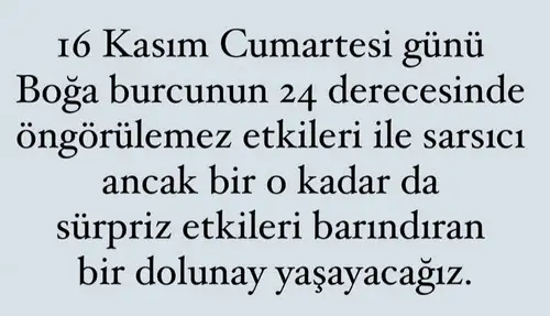 boğa15 (2).webp