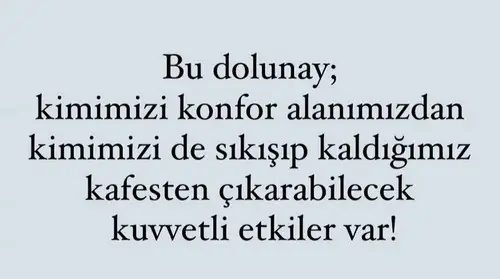 boğa15 (3).webp