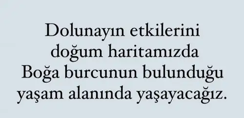 boğa15 (4).webp