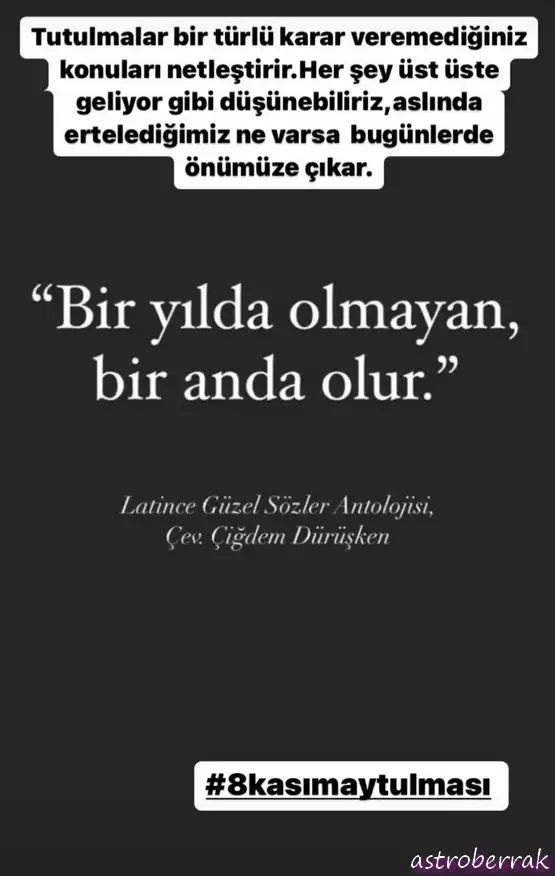 boğa15.webp