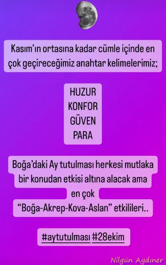 boğa15.webp