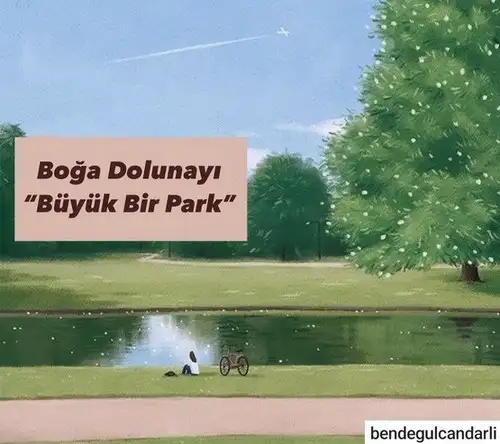 boğa16 (1).webp