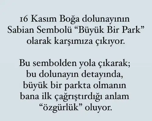 boğa16 (2).webp