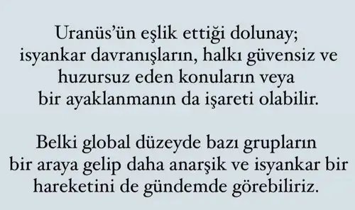 boğa16 (6).webp