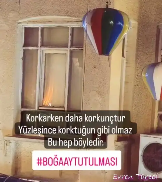 boğa16.webp
