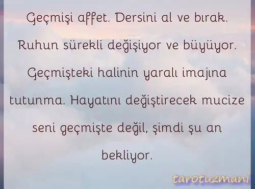 boğa16.webp