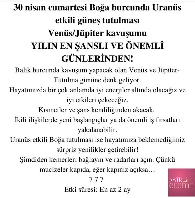 boğa17.webp
