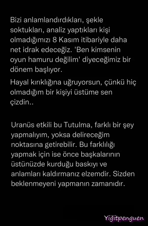 boğa17.webp
