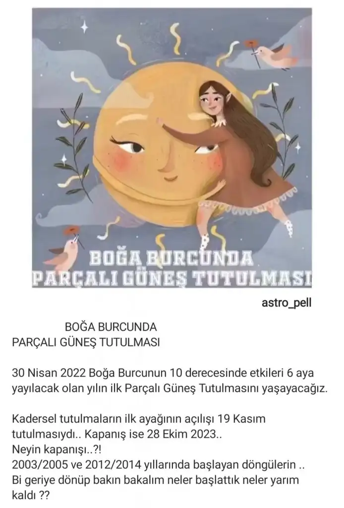 boğa18 (1).webp