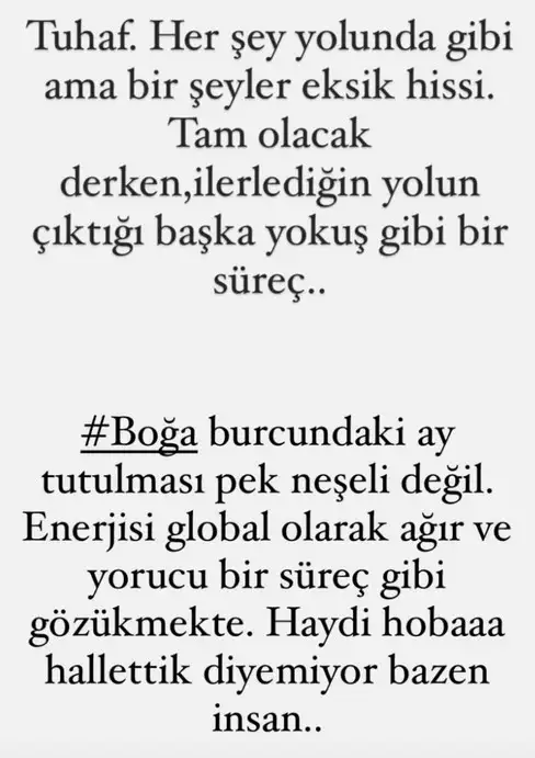 boğa18 (1).webp