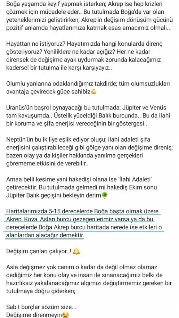 boğa18 (2).webp