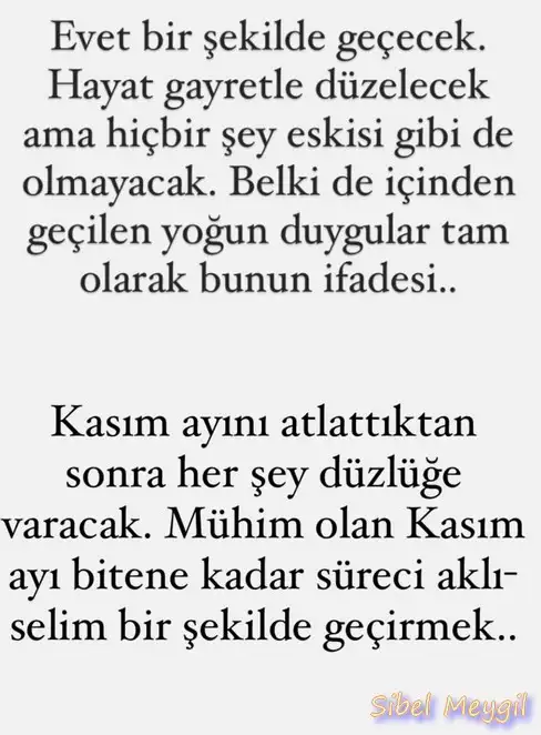 boğa18 (2).webp