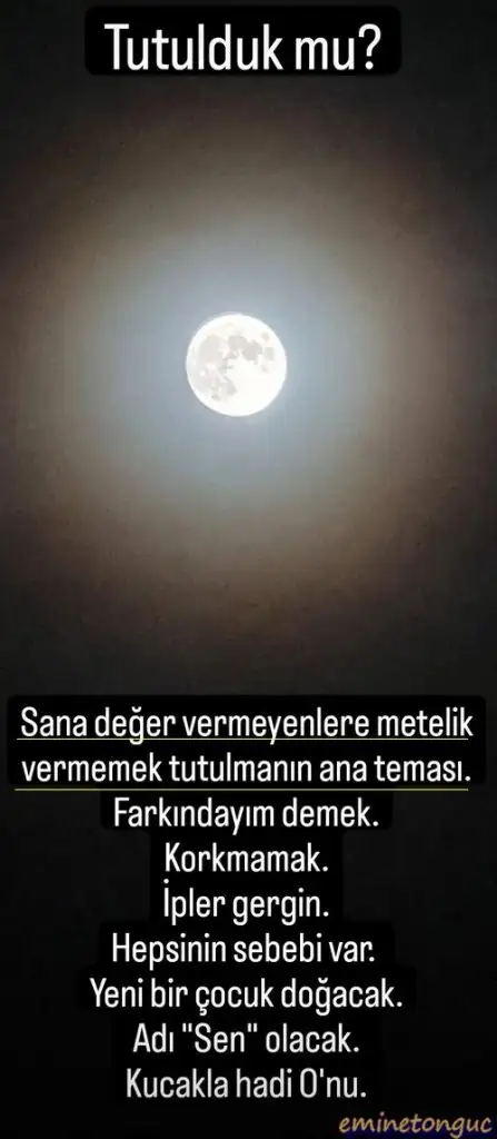 boğa18.webp