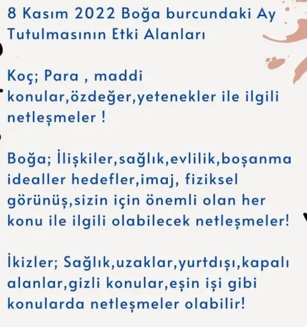 boğa19 (1).webp
