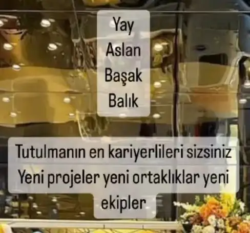 boğa19 (1).webp