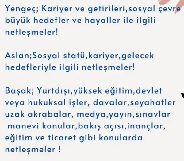 boğa19 (2).webp