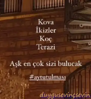 boğa19 (2).webp