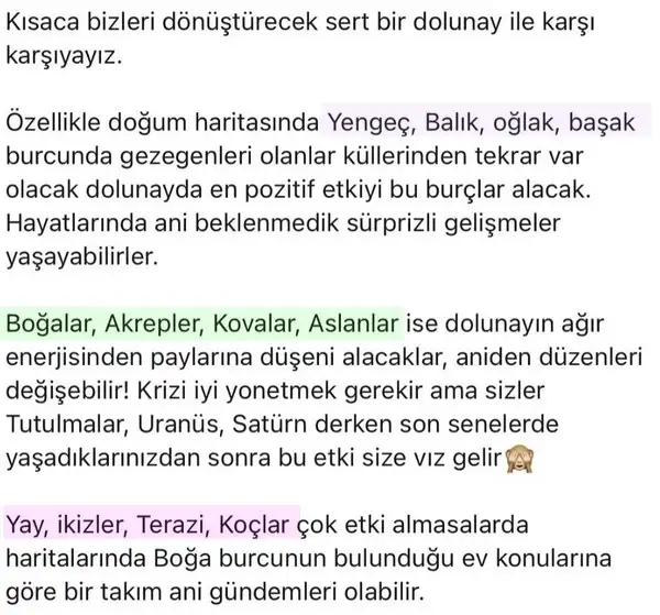 boğa19 (2).webp