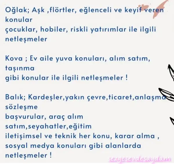 boğa19 (4).webp