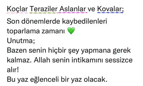 boğa19 (5).webp