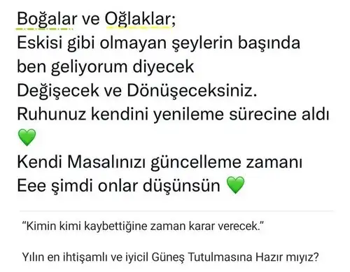 boğa19 (6).webp