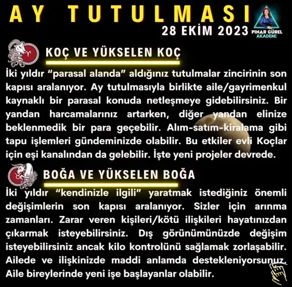 boğa2 (1).webp