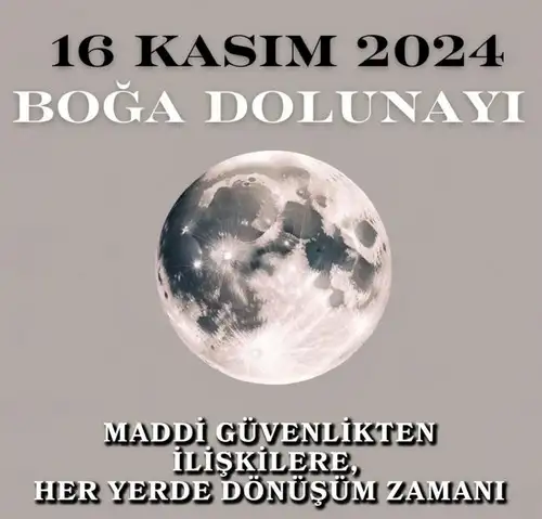 boğa2 (1).webp