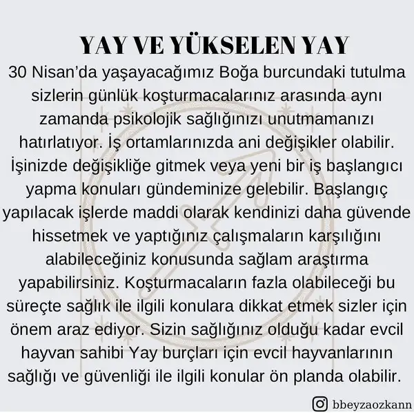 boğa2 (10).jpg