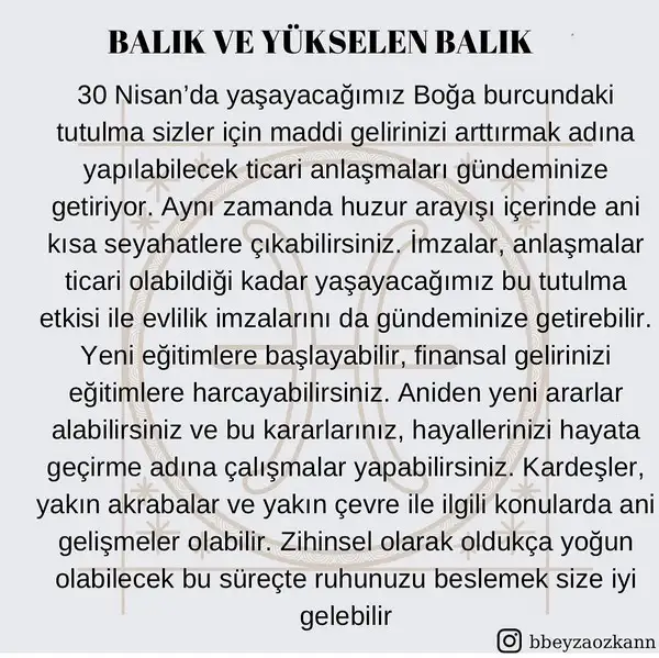 boğa2 (13).webp