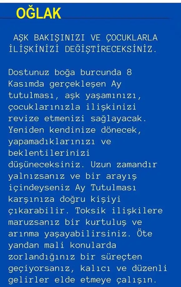 boğa2 (13).webp