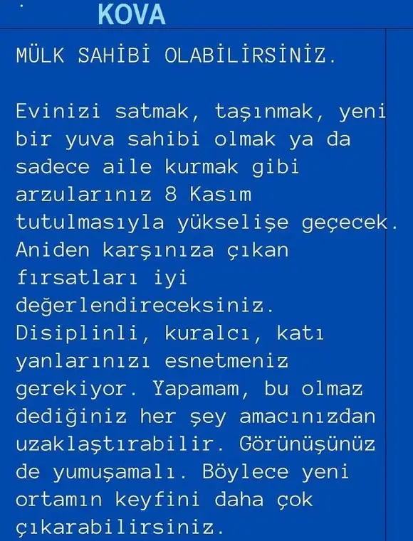 boğa2 (14).webp