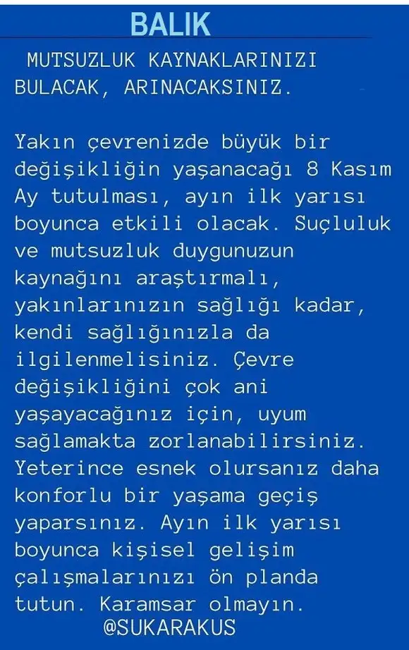 boğa2 (15).webp