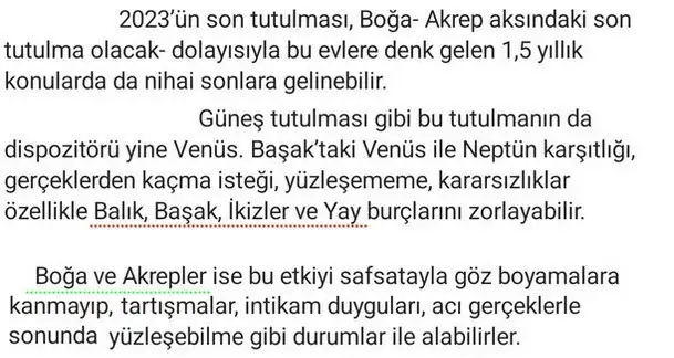 boğa2 (2) - Kopya - Kopya.webp