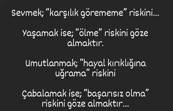 boğa2 (2).webp