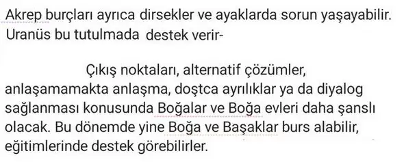 boğa2 (2).webp