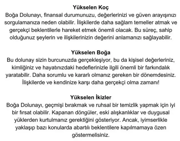 boğa2 (2).webp