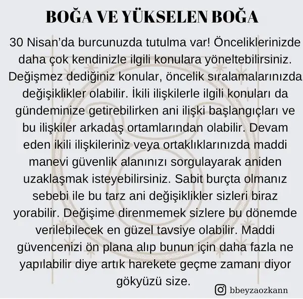 boğa2 (3).jpg