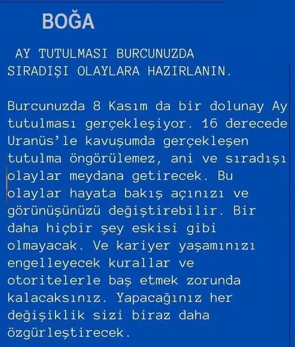 boğa2 (3).webp