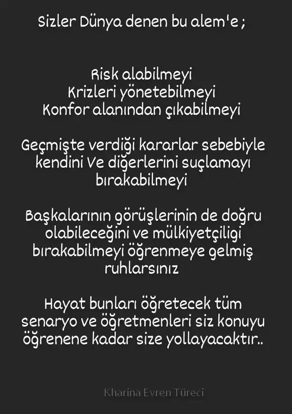 boğa2 (5).webp